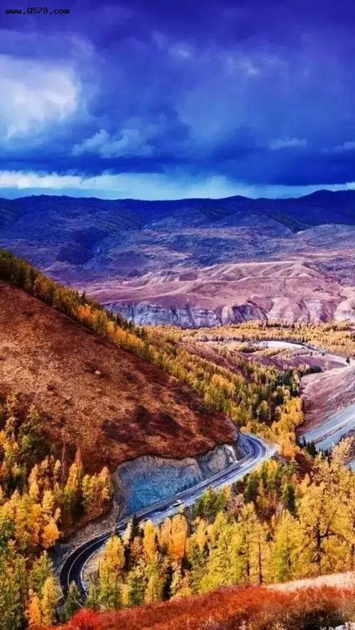 各美其美作文,各美其美美人之美高中作文