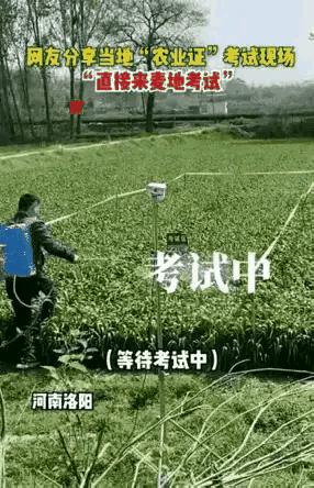 农民证有什么补贴,村里有好几种证可以领补贴