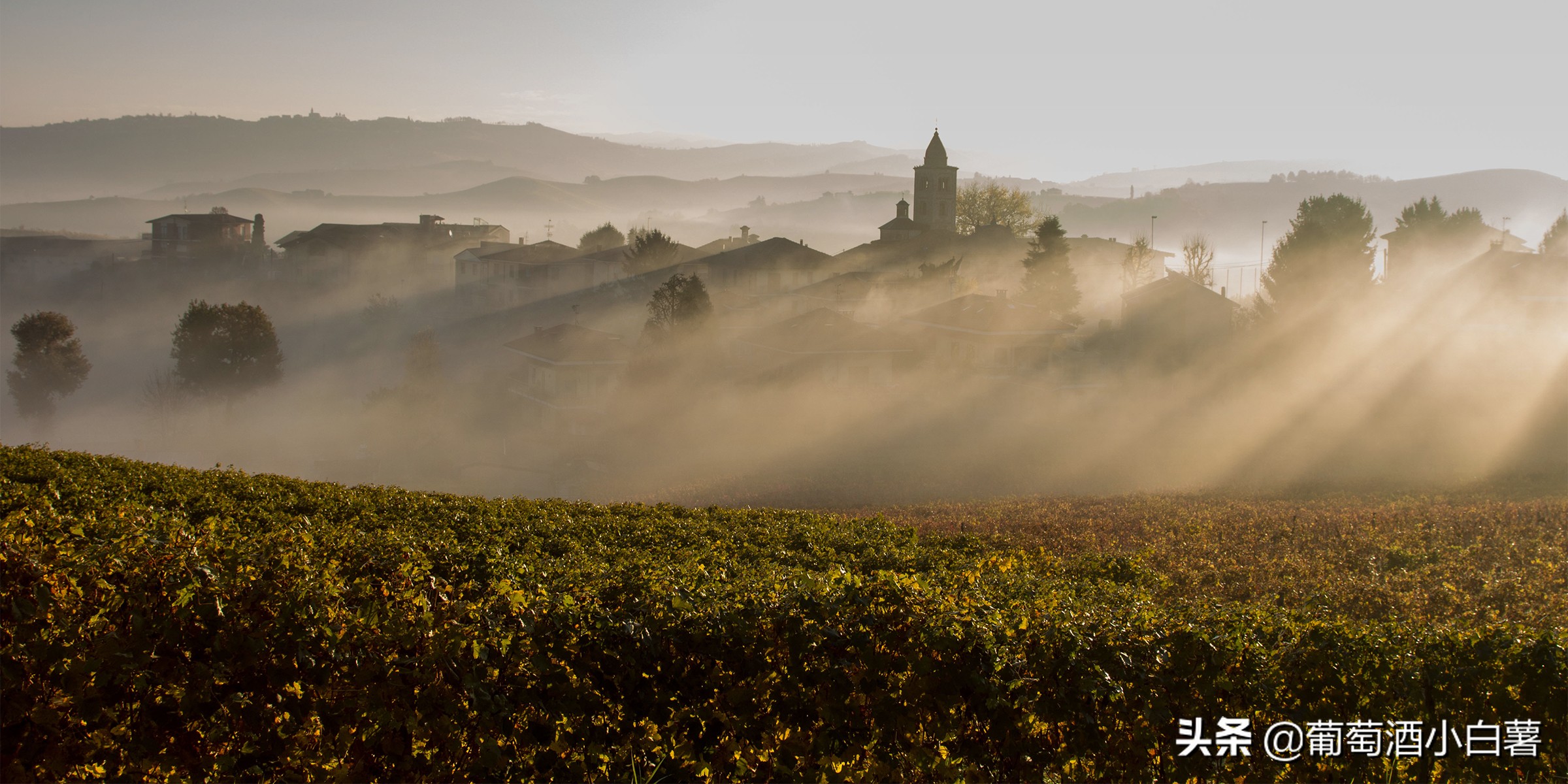 法国红酒leschastes价格,法国红酒maison价格