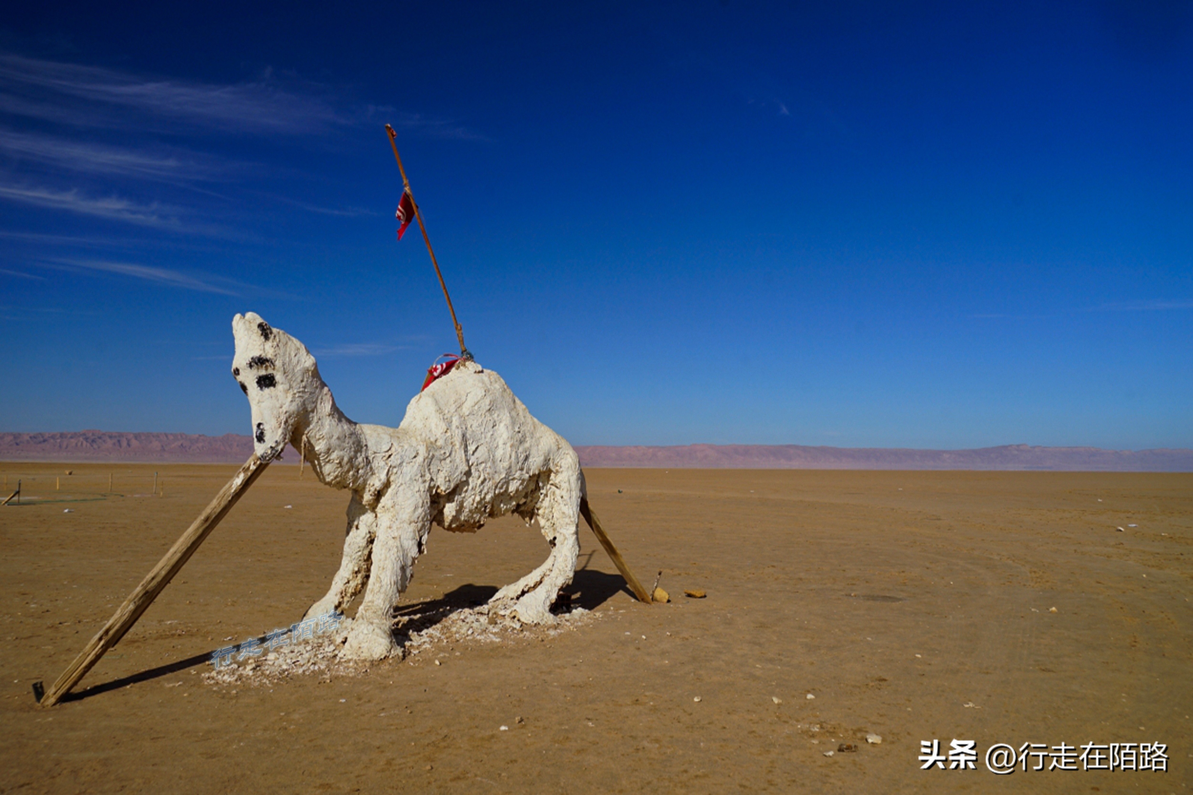 去过撒哈拉沙漠盐湖，才知道所谓的“喜马拉雅盐”是智商税