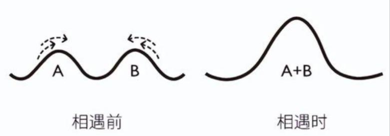 企业如何应对比黑天鹅、灰犀牛更可怕的疯狗浪？