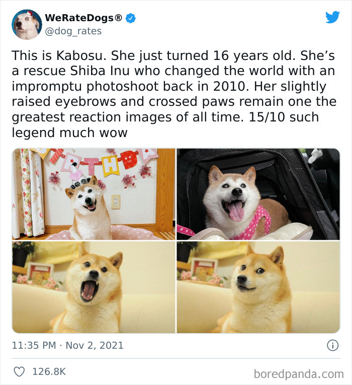 缇庡浗灏忓摜鐐硅瘎瑙嗛,缇庡浗灏忓摜鐐硅瘎