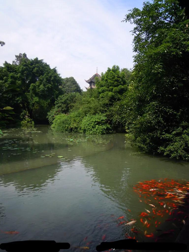 好看的山水花鸟大全,中国风山水花鸟图片