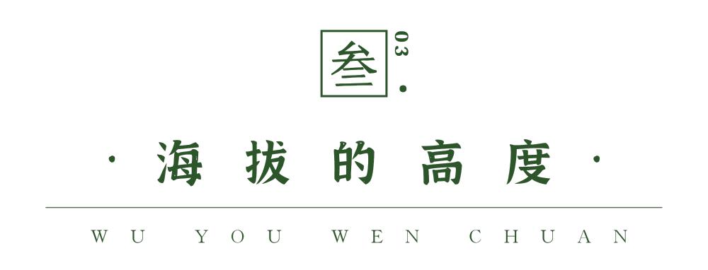 汶川是哪天呢,汶川大地震的威力到底有多强大呢