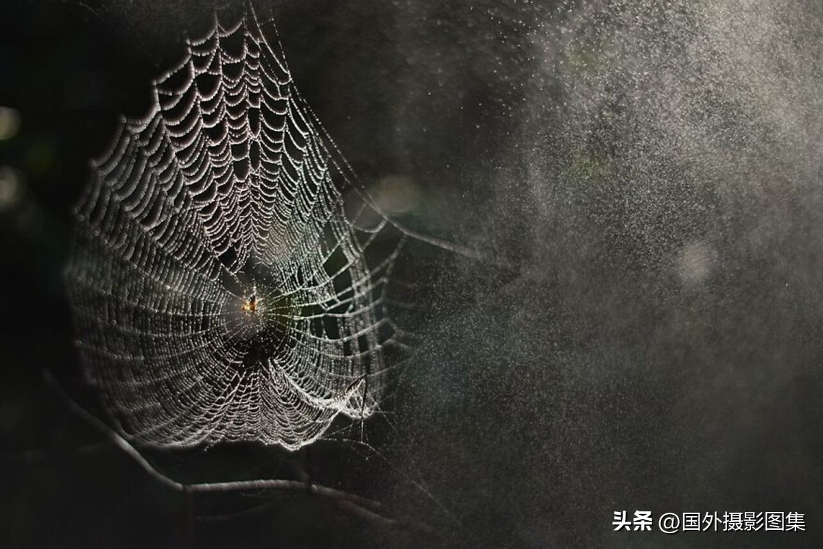 最美的景色秋天照片高清,夏天和秋天的绝美照片