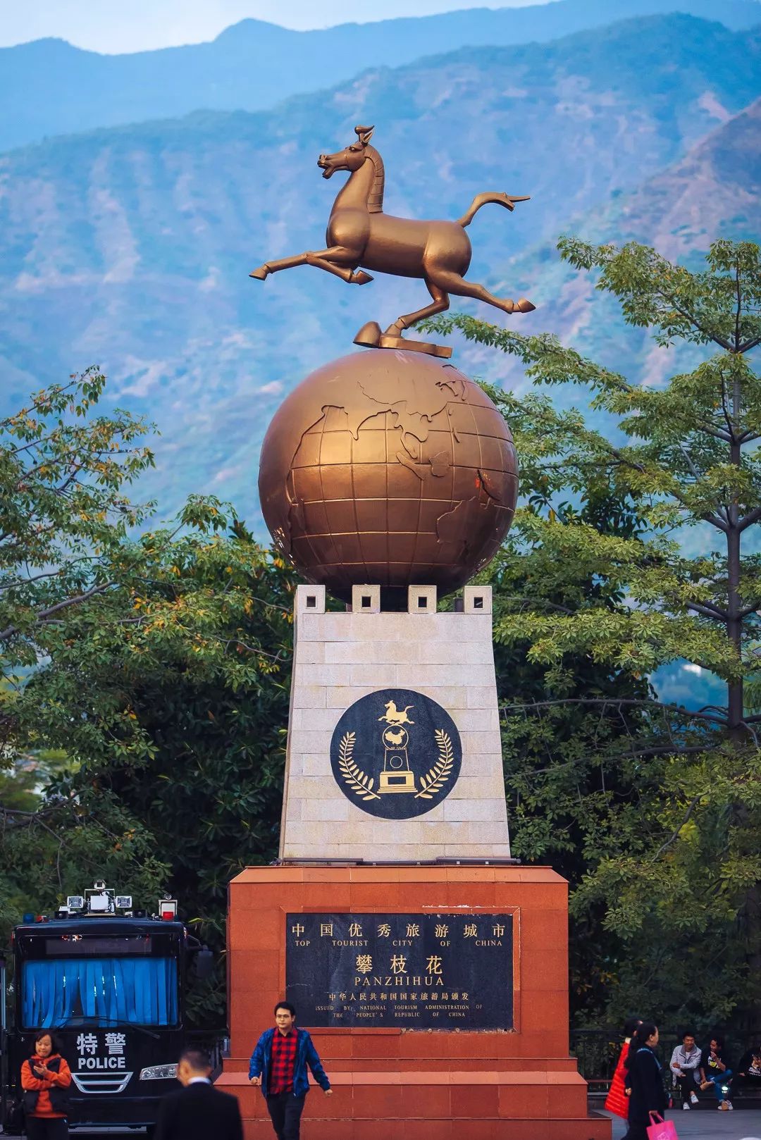 攀枝花是一种什么花,什么是攀枝花铁树