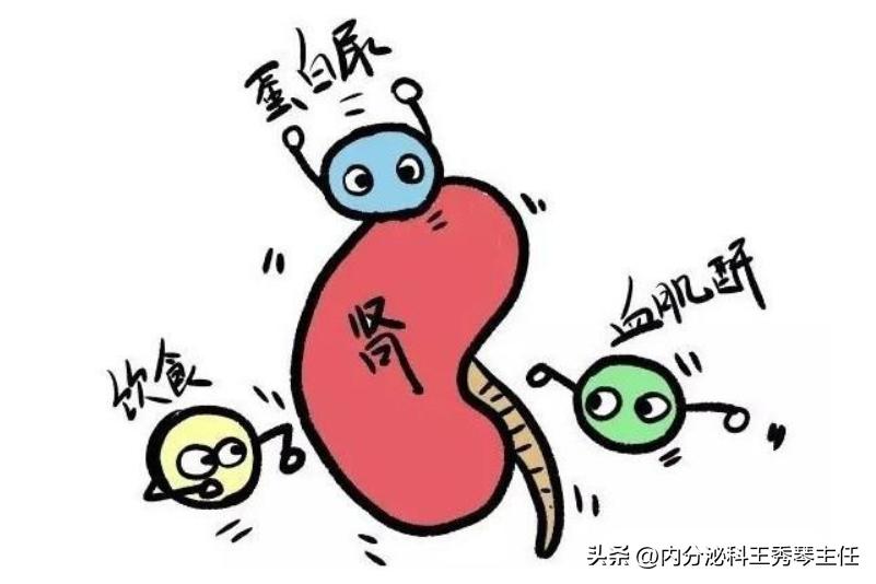 肾病肌酐正常饮食要注意什么,肾病肌酐高吃什么能降下去