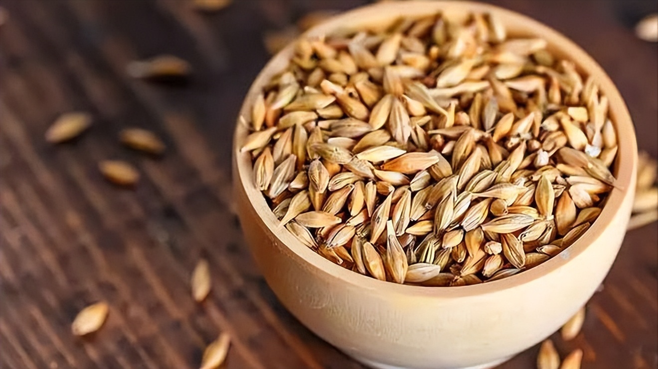 大麦纤维素的特征,研究小麦在人体的化学反应