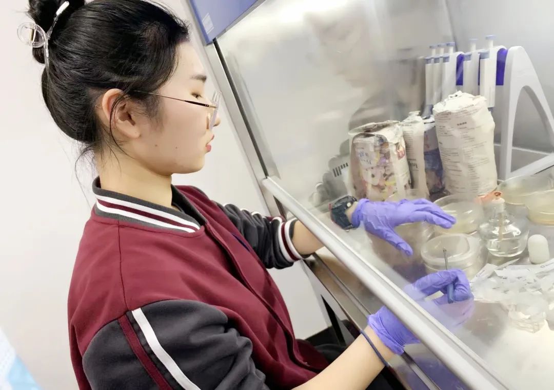 安生人物|Lyra:在这里，我离剑桥梦更近