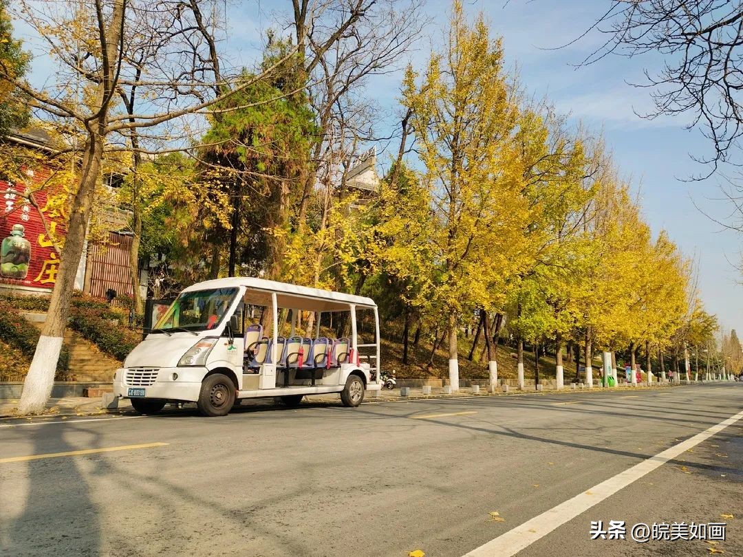 安徽大学好看的风景,高校最美秋景