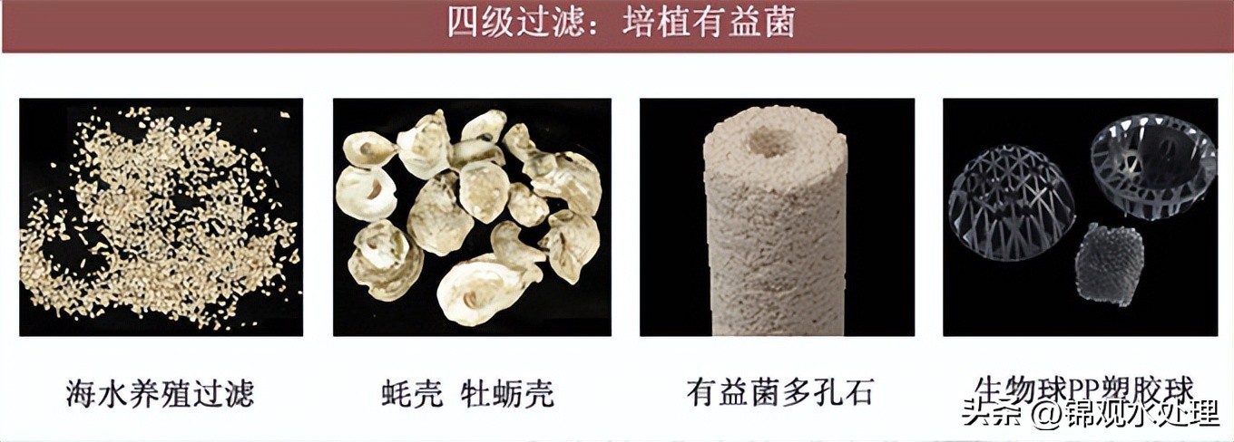 最简单高效的鱼池过滤系统设计图,室外鱼池自制最简单的过滤系统