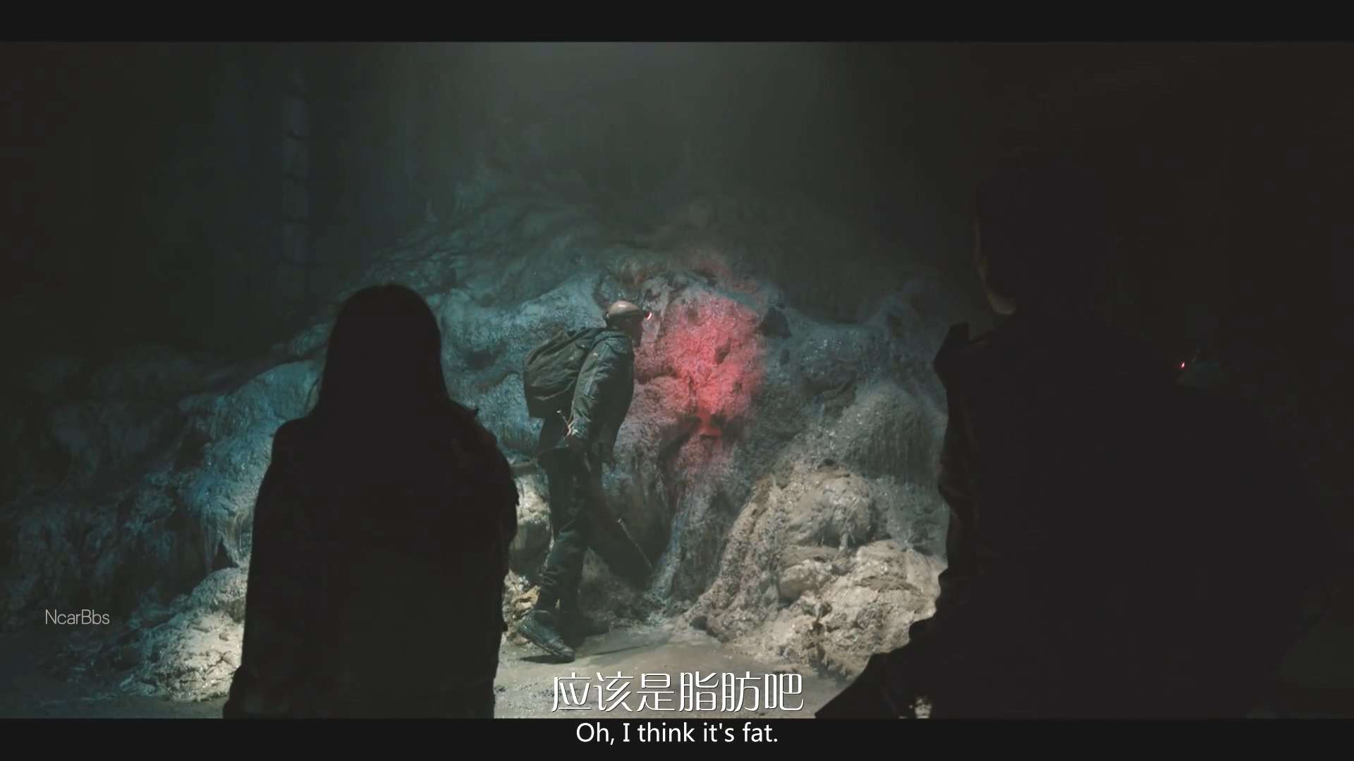 行尸走肉爆发前的故事,行尸走肉十大感人情节