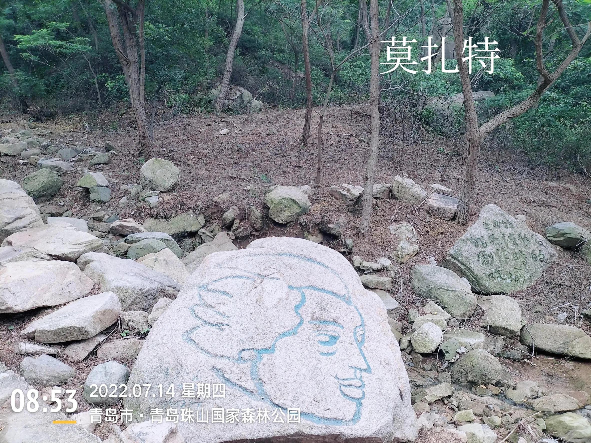 青岛珠山国家森林公园美景,黄岛旅游感受