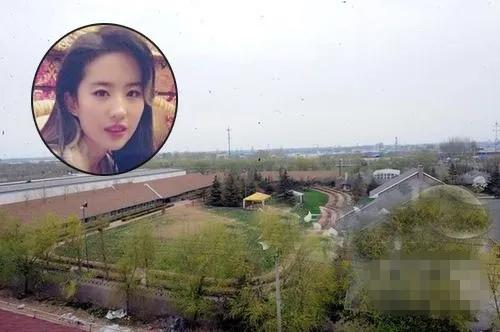 明星爱马仕包包谁最多,爱马仕包奢侈品