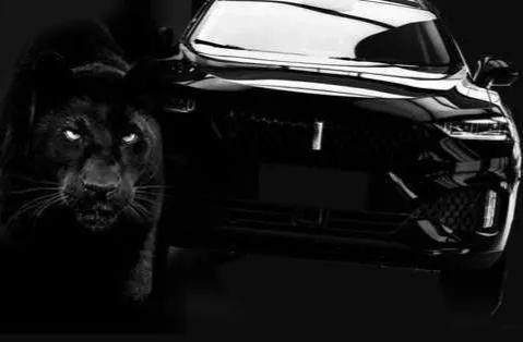 魏80设计,魏80的混动技术