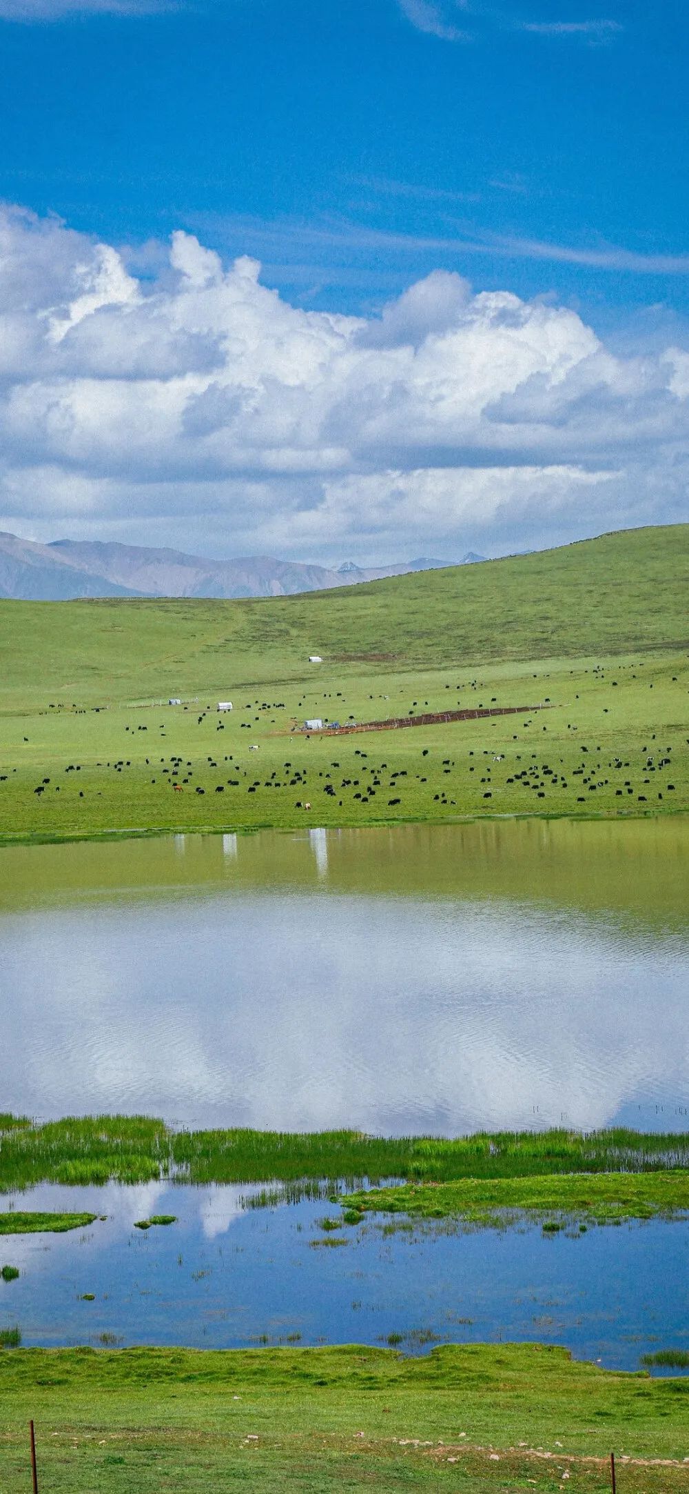 100张全屏绿色山水护眼壁纸,2021超清绿色护眼壁纸风景