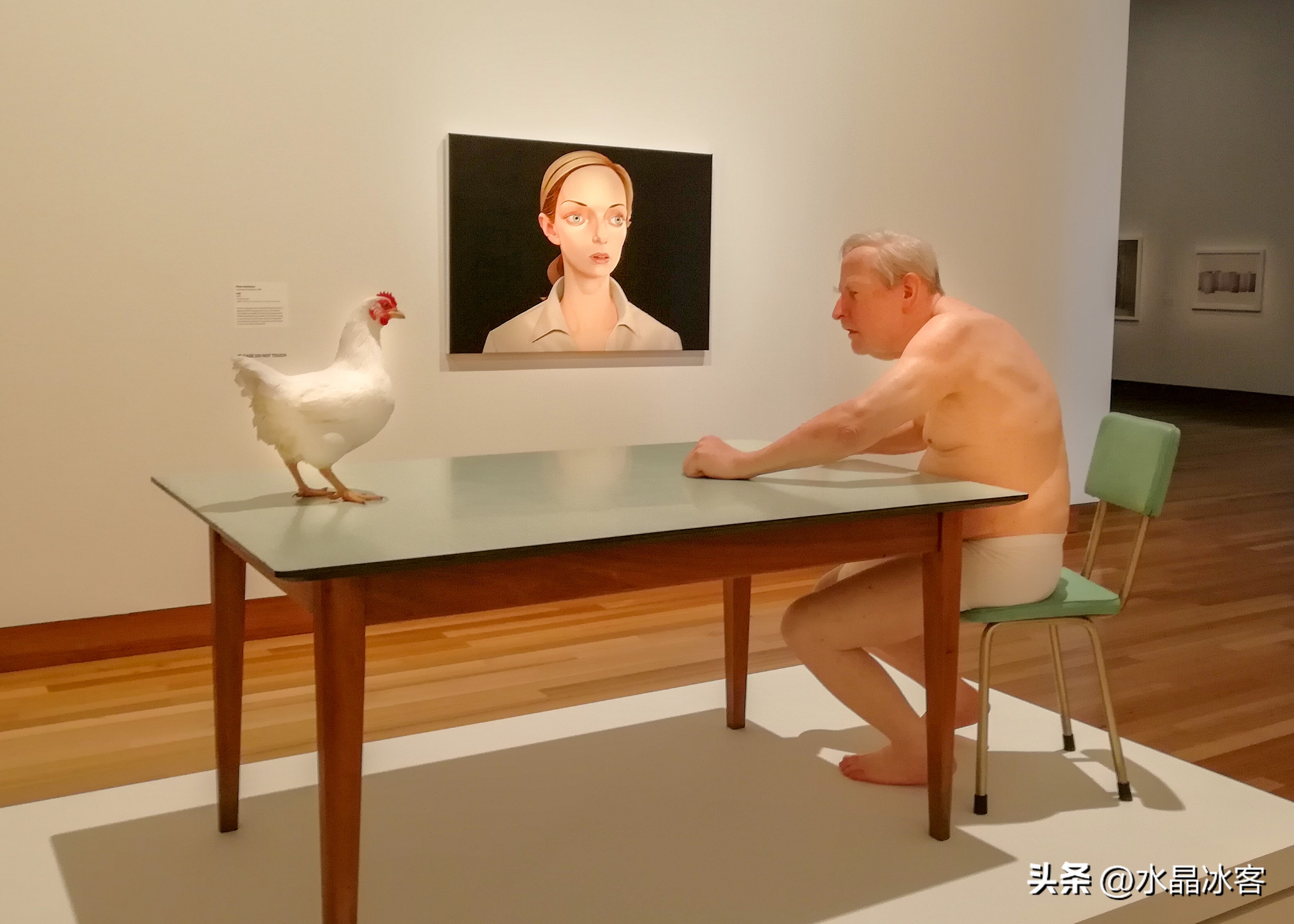 南岛新西兰之旅,新西兰之南岛