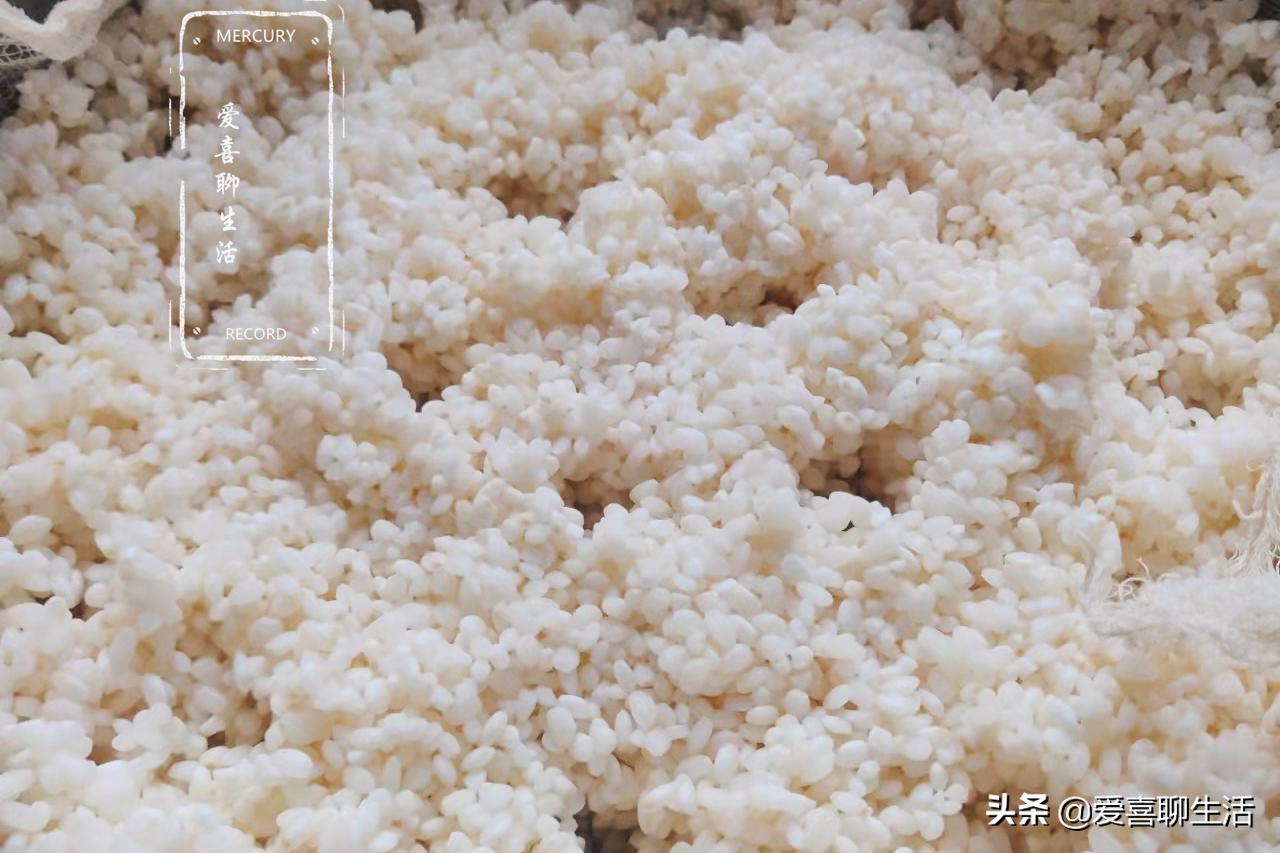 怎么做酒酿才能成功,自己在家里做酒酿的方法