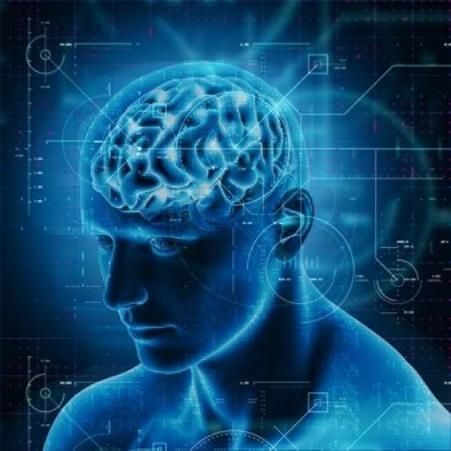 脑力消耗过度,脑力和体力消耗过大会怎么样