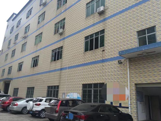 深圳打工真实生活记录2008,深圳工厂上班真实感受