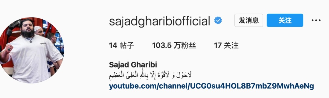 伊朗绿巨人mma视频,伊朗绿巨人真实身材