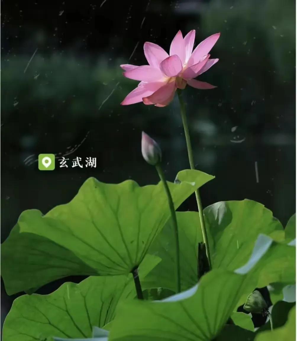 南京旅游攻略最详细攻略,南京旅游自由行详细攻略