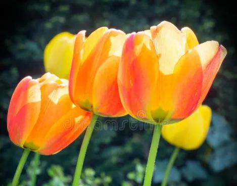 2021中考作文押题励志,2021中考押题作文励志范文8篇