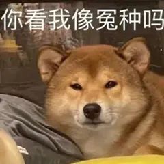 热梗科普痛苦面具是什么梗,热梗话题解读