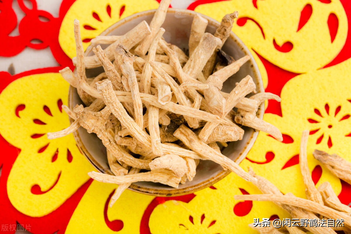 西洋参养生茶提高免疫力,西洋参可以调整免疫系统