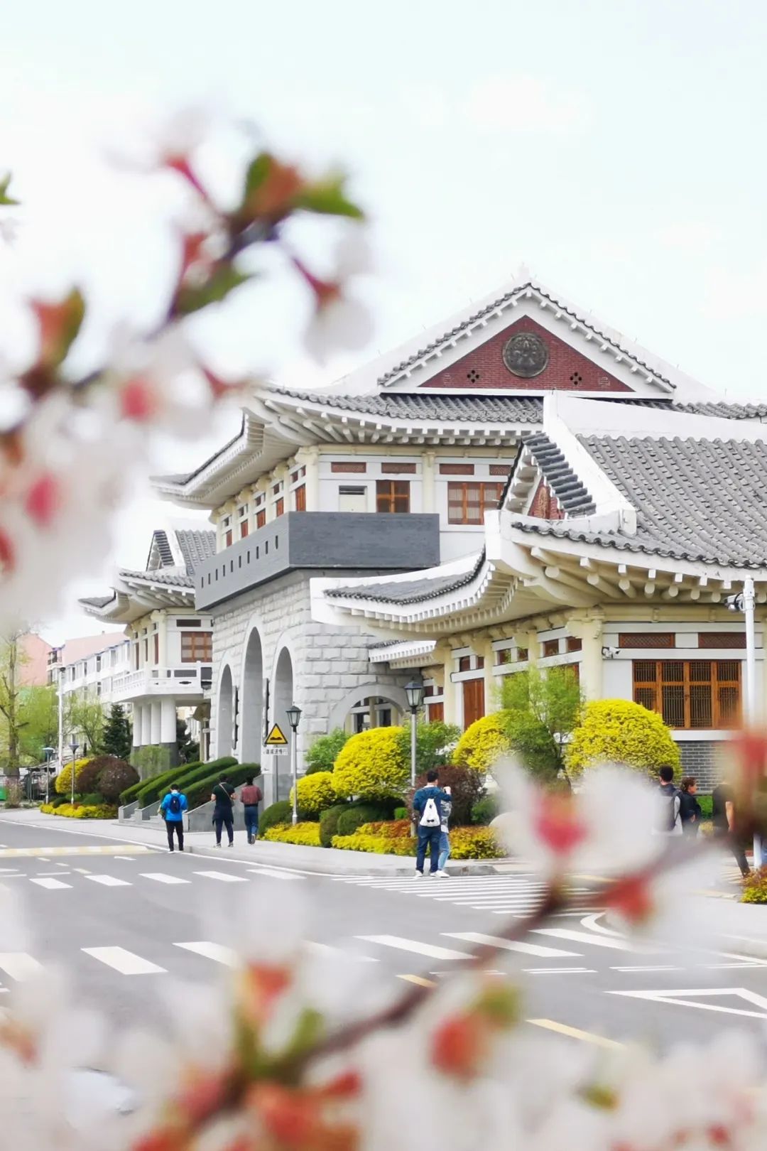 韩流延边,延边韩流