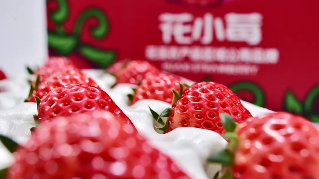 电商助力乡村振兴案例,乡村振兴创新创业电商助农视频