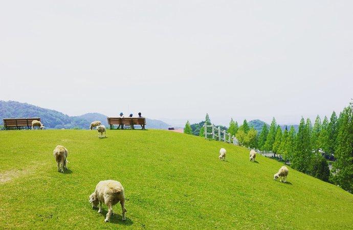 日本究竟有多迷人,日本神户风景视频