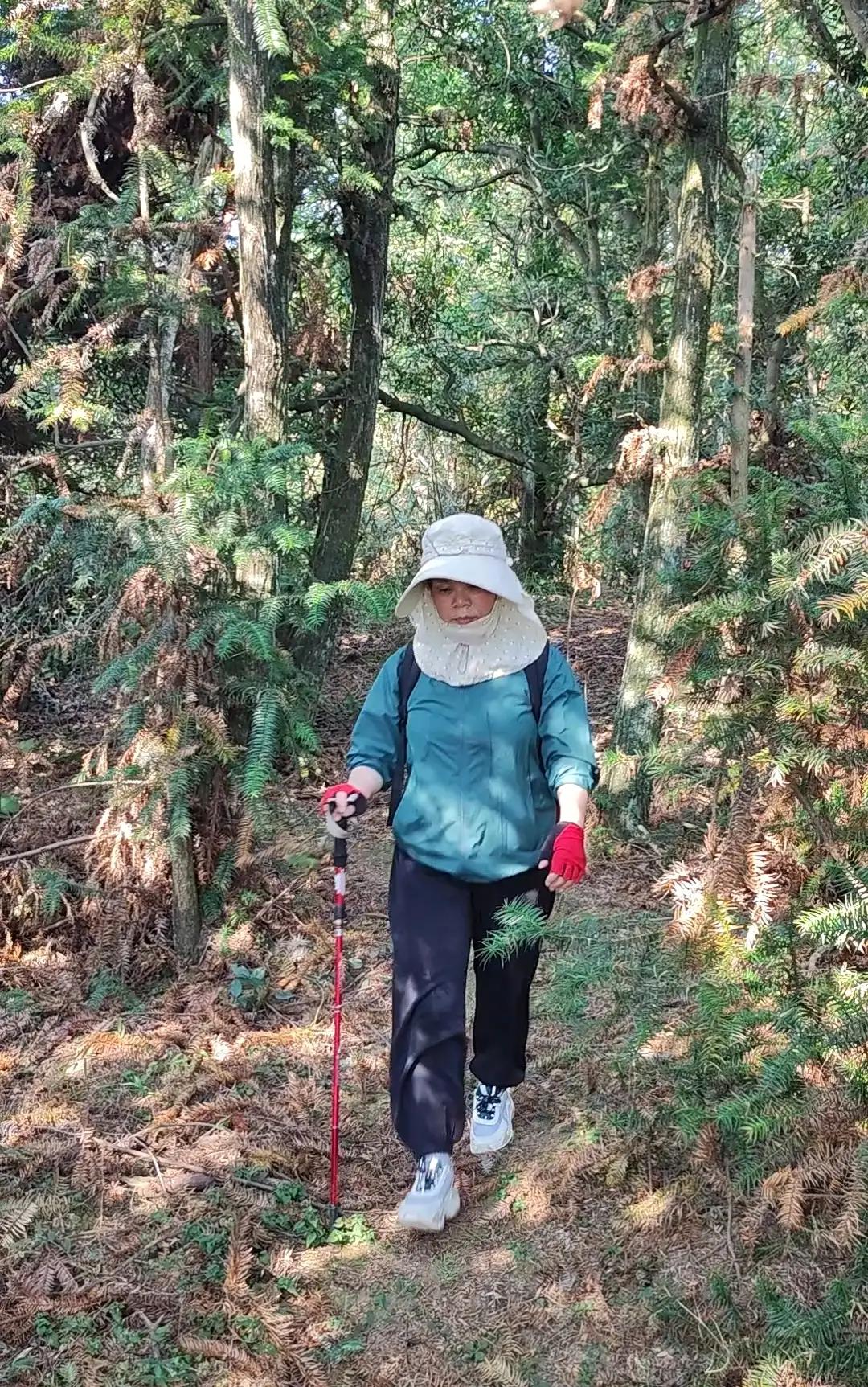 我爱大罗山,大罗山莲花石