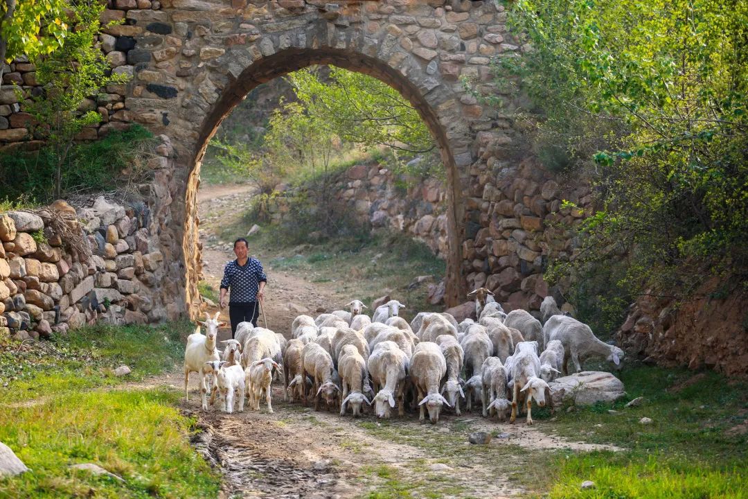 迎接党的20大美术作品,喜迎二十大乡村摄影展