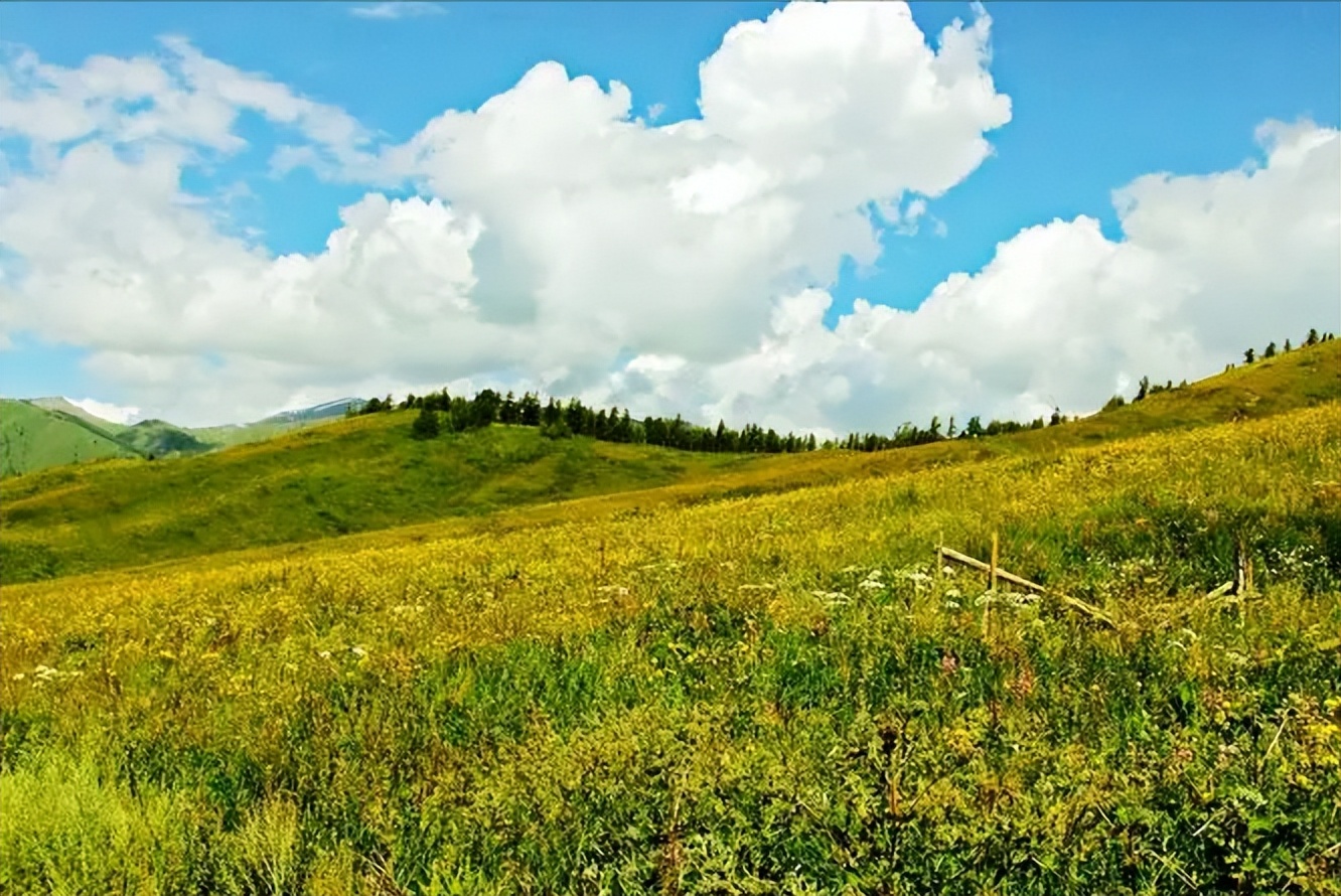 少数民族题材电影，以生态审美境界栖居大地，体会生命本真