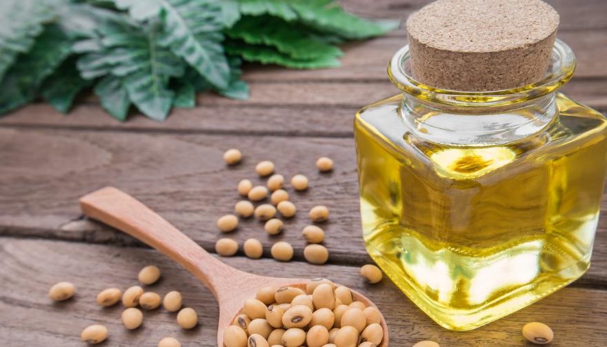 菜籽油为啥称之为劣质食用油,菜籽油含什么