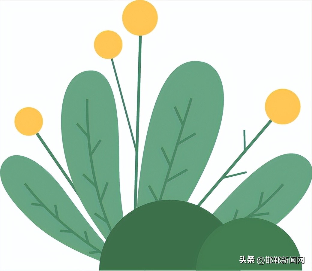 峰峰网红打卡地,寓教于玩幼儿园