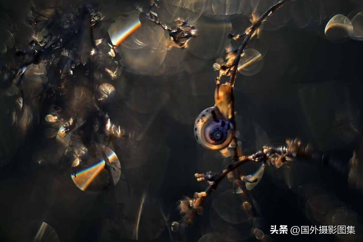 秋天最美大自然图片,春天最美的三十六张照片