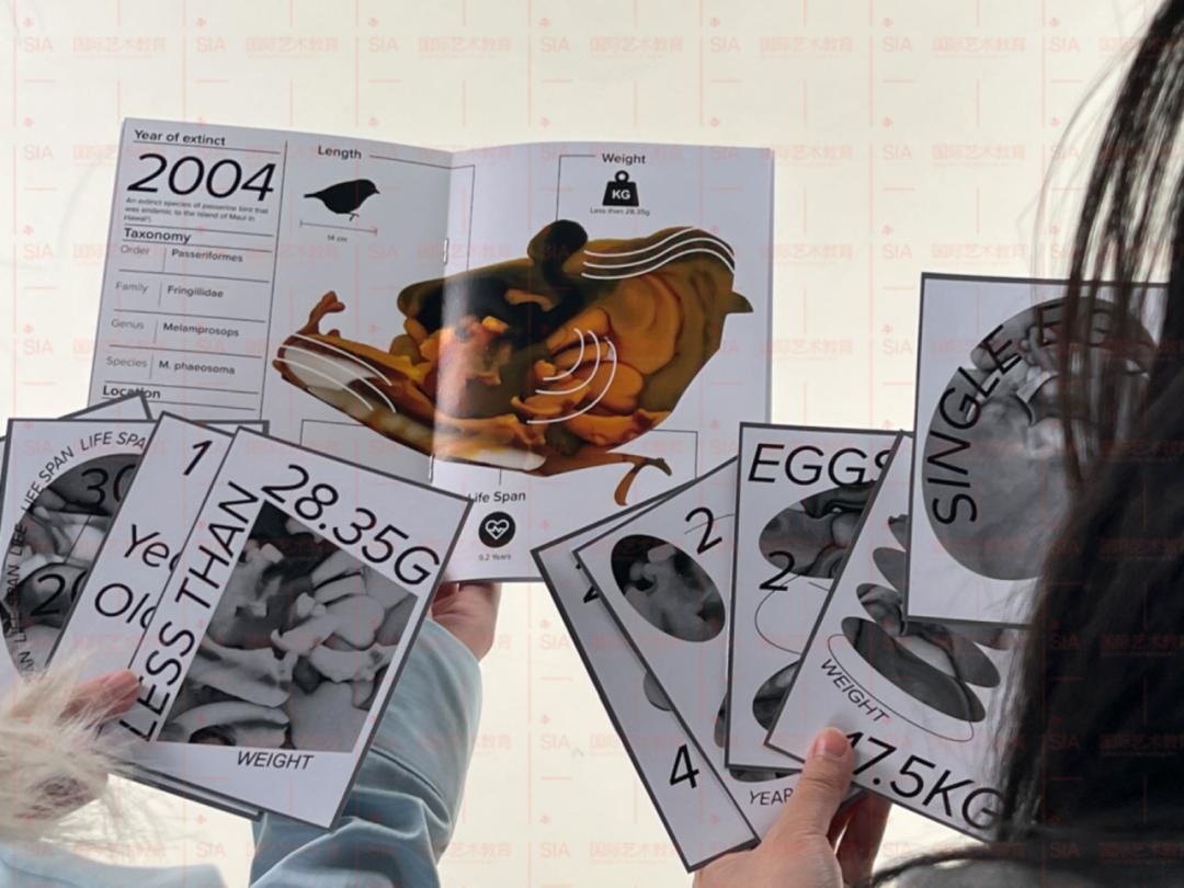 本研世界Top1！从UAL迈进RCA，顶配留学路全靠...…