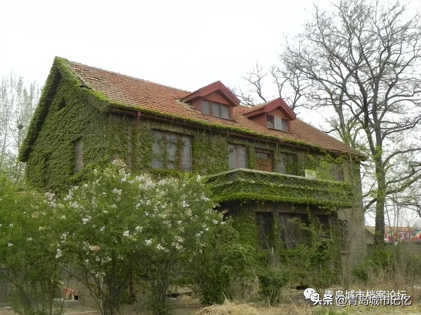 即墨一中120年校庆,即墨一中简介