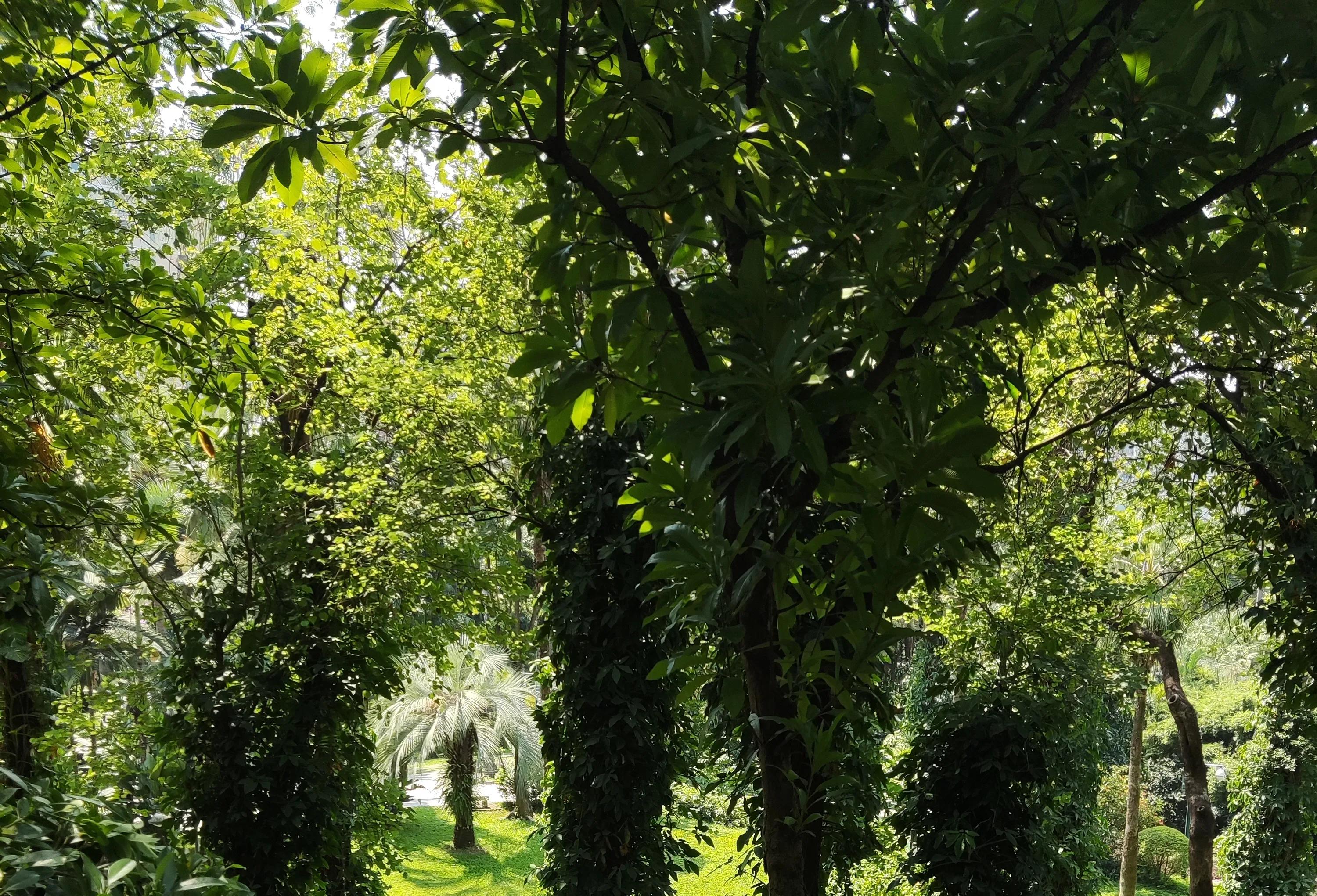 没给弟弟钱被骂,没给弟弟钱把我拉黑了