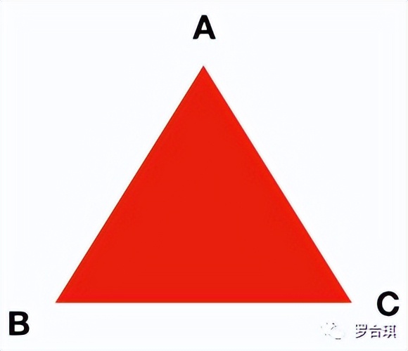 罗合琪：我在深圳的摇滚主题酒吧找到了归属感