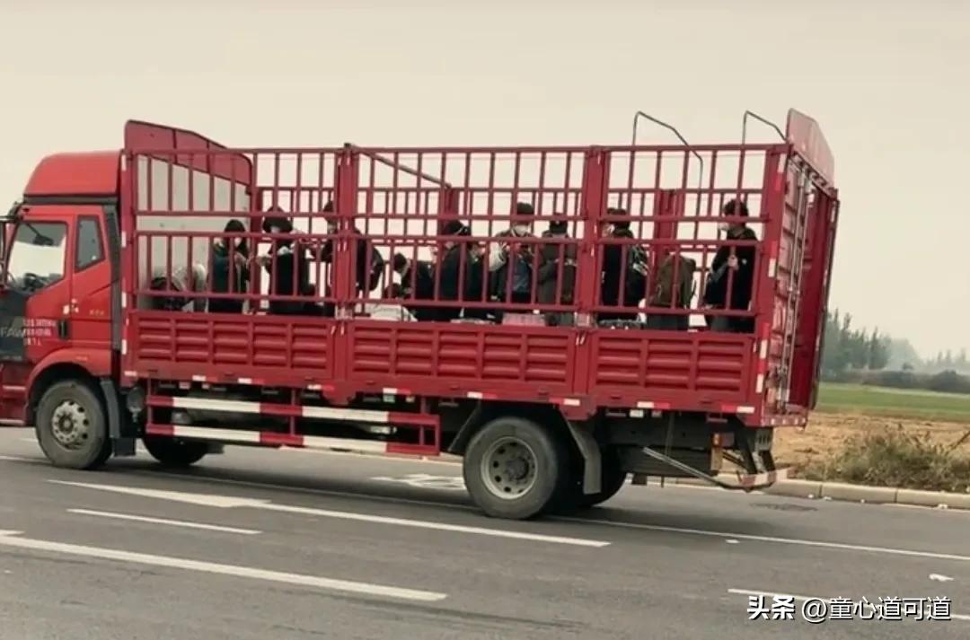 最具正能量卡车司机,最勇敢卡车司机