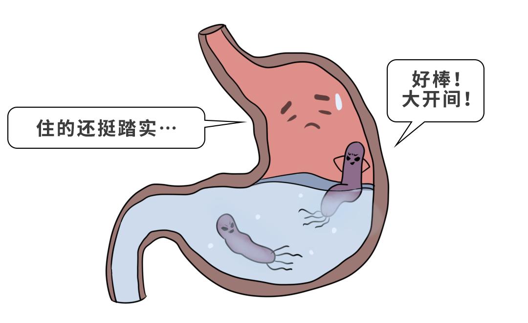 网红牙膏是不是真实有效,抗糖牙膏是智商税吗