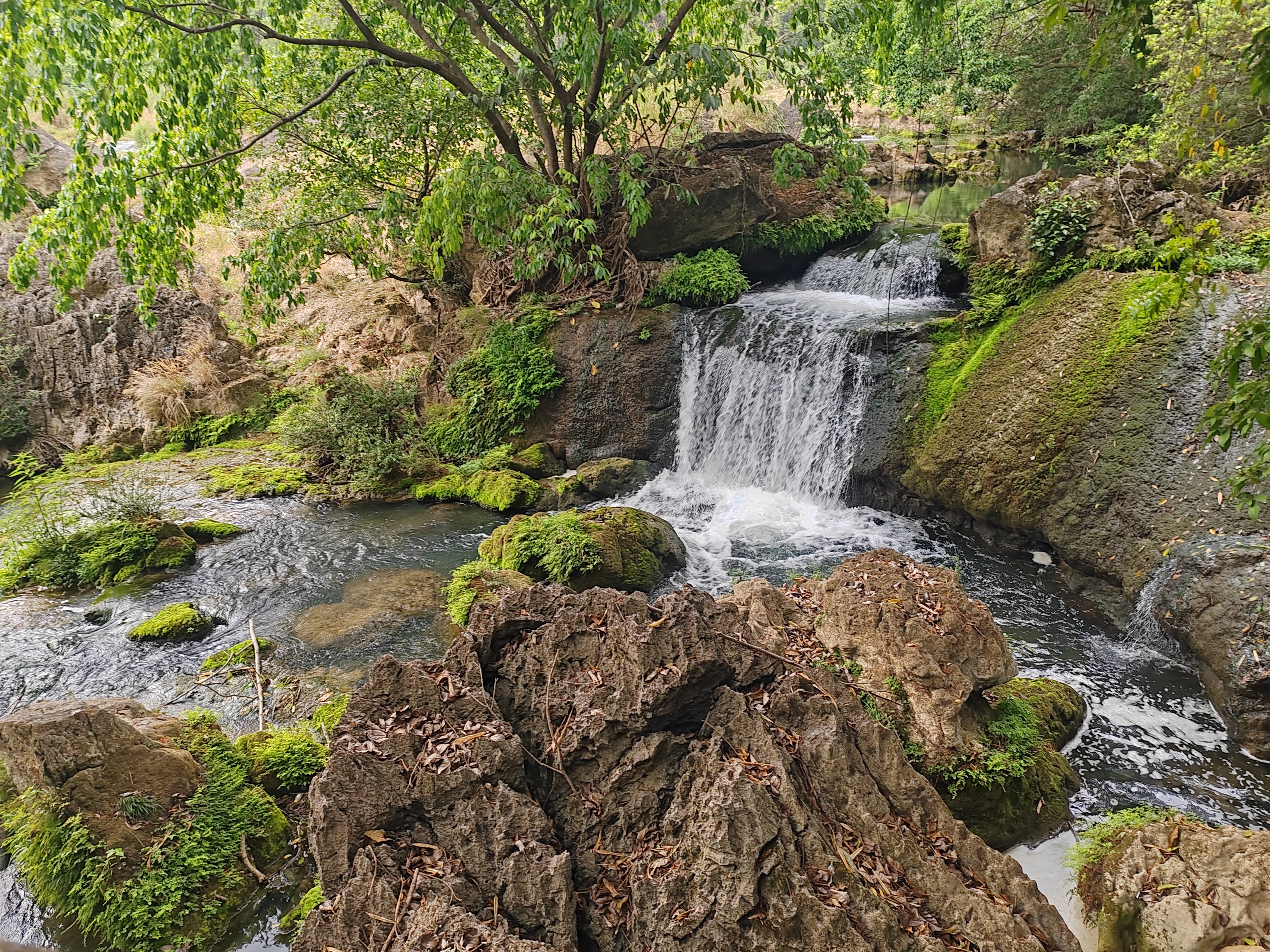游贵州黄果树视频,贵州黄果树瀑布旅游攻略天星桥