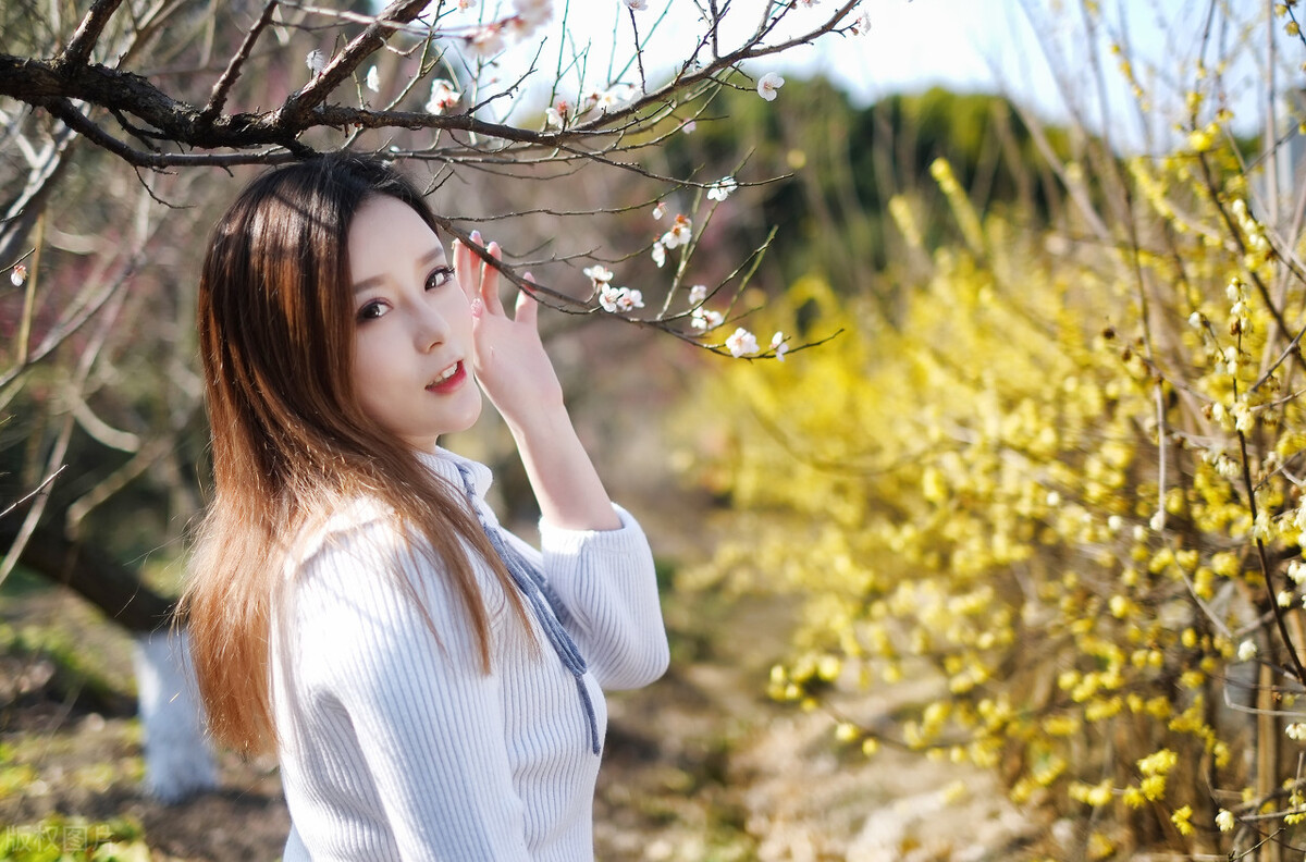 短篇小说言情,短篇小说集500篇在线阅读