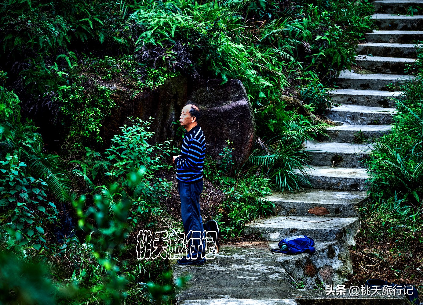 五一适合去哪旅游珠海海边,五一珠海旅游免费景点推荐