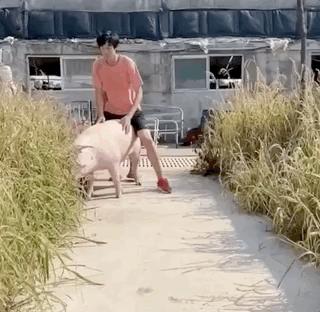 张国伟自愈的视频,张国伟最好成绩