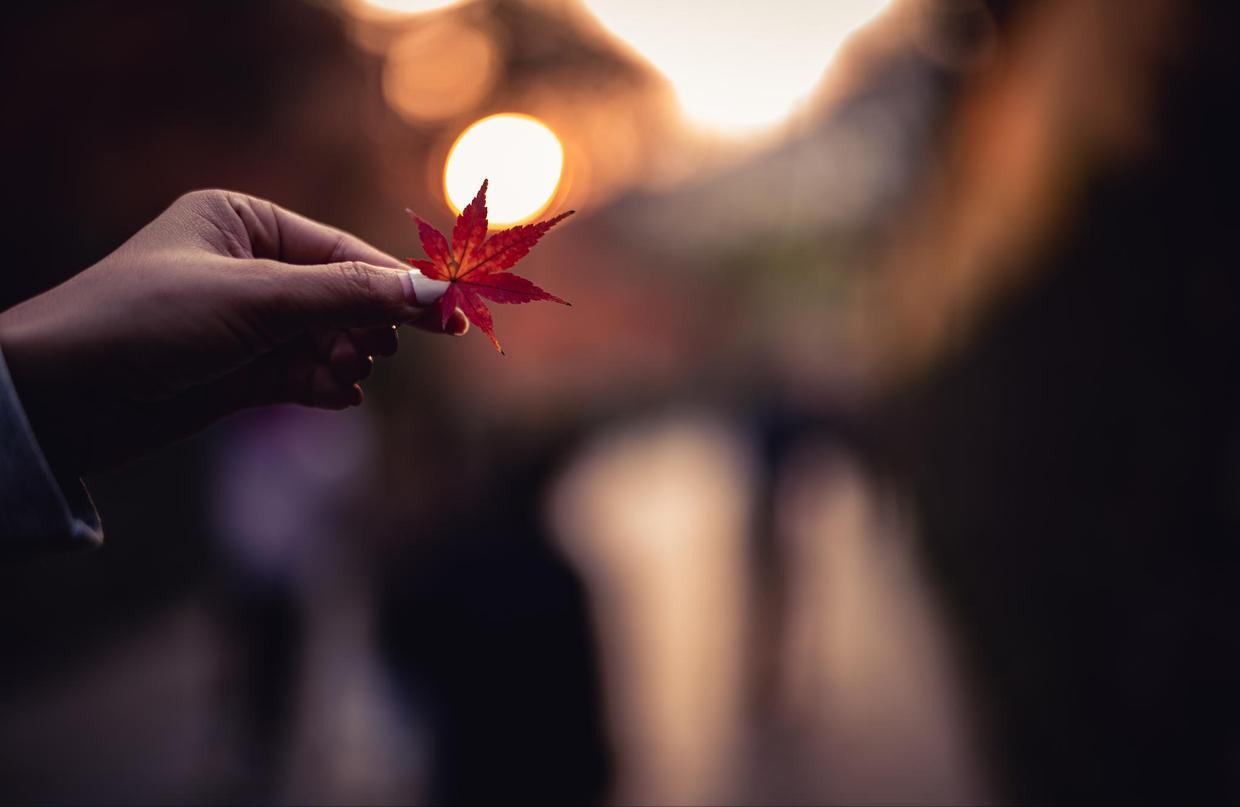 斑驳秋光影，晚来更深情