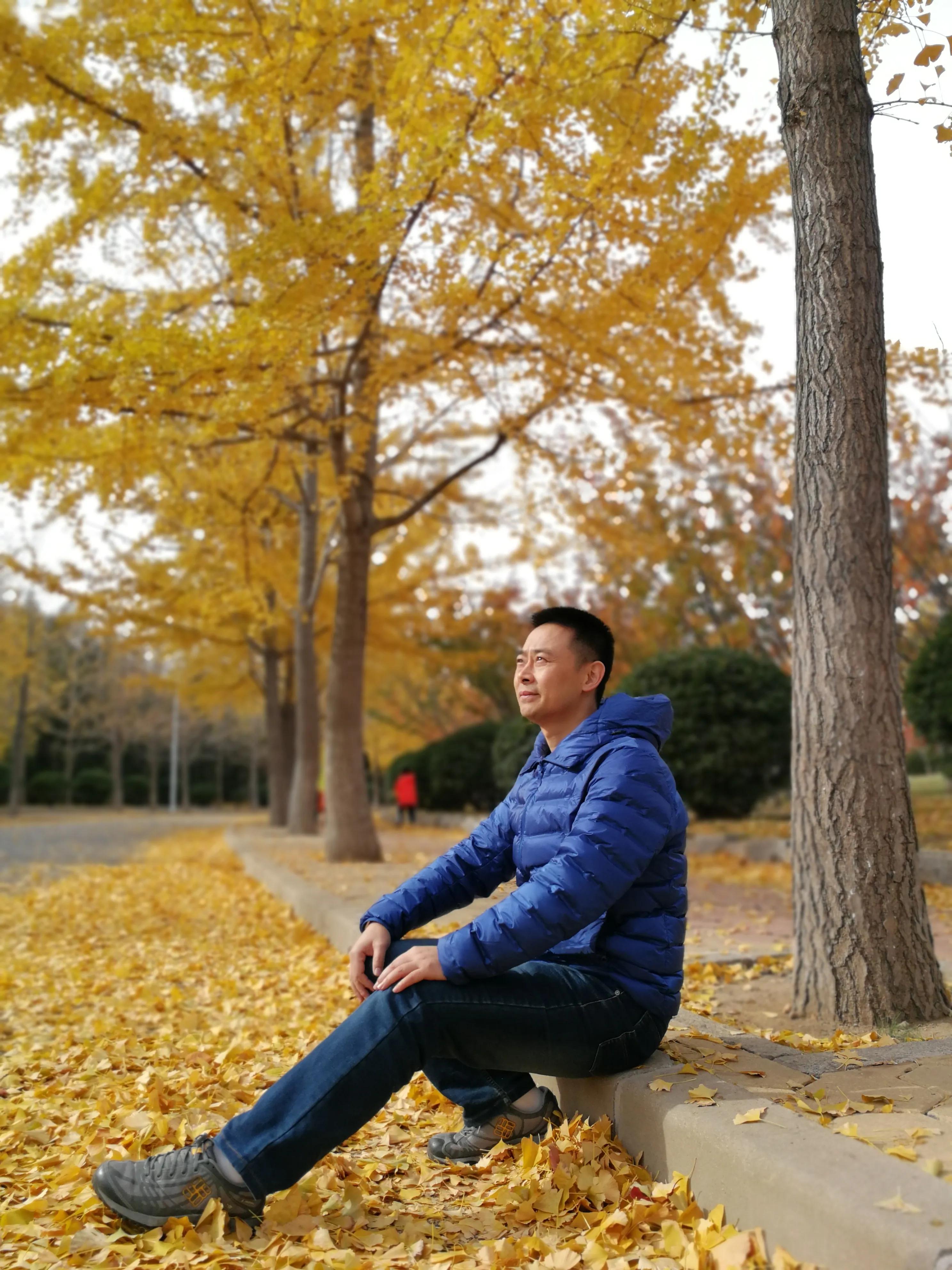 由来开头的诗词,由来这两个字怎么写立体